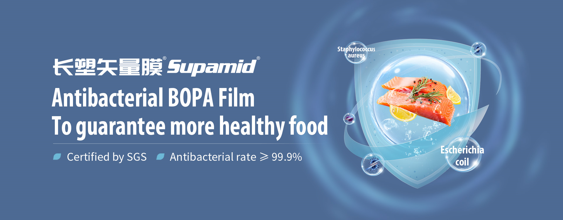 https://www.changsufilm.com/antibacterial-bopa-film-product/